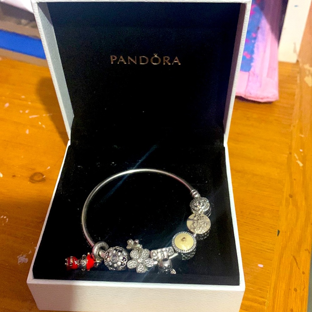 Pandora bracelet with charm